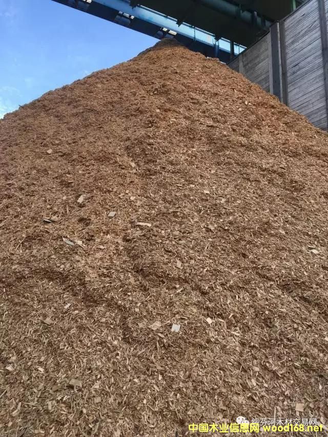 �c(di��n)���鿴�羳��ُ(g��u)�����_˹���~�����Іΰ�U��ľƬ��Ԕ��(x��)�Y��