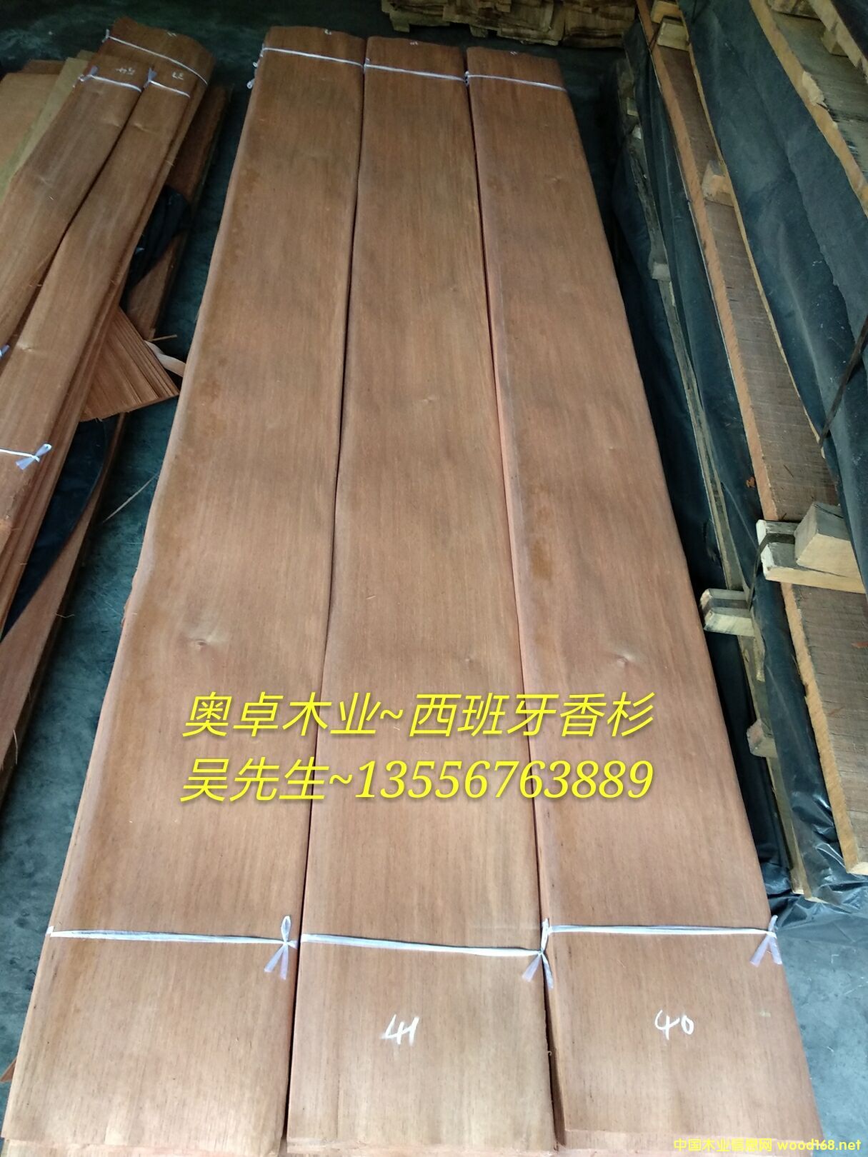 [��] ��������ɼ��������ѩ��������ľƤ