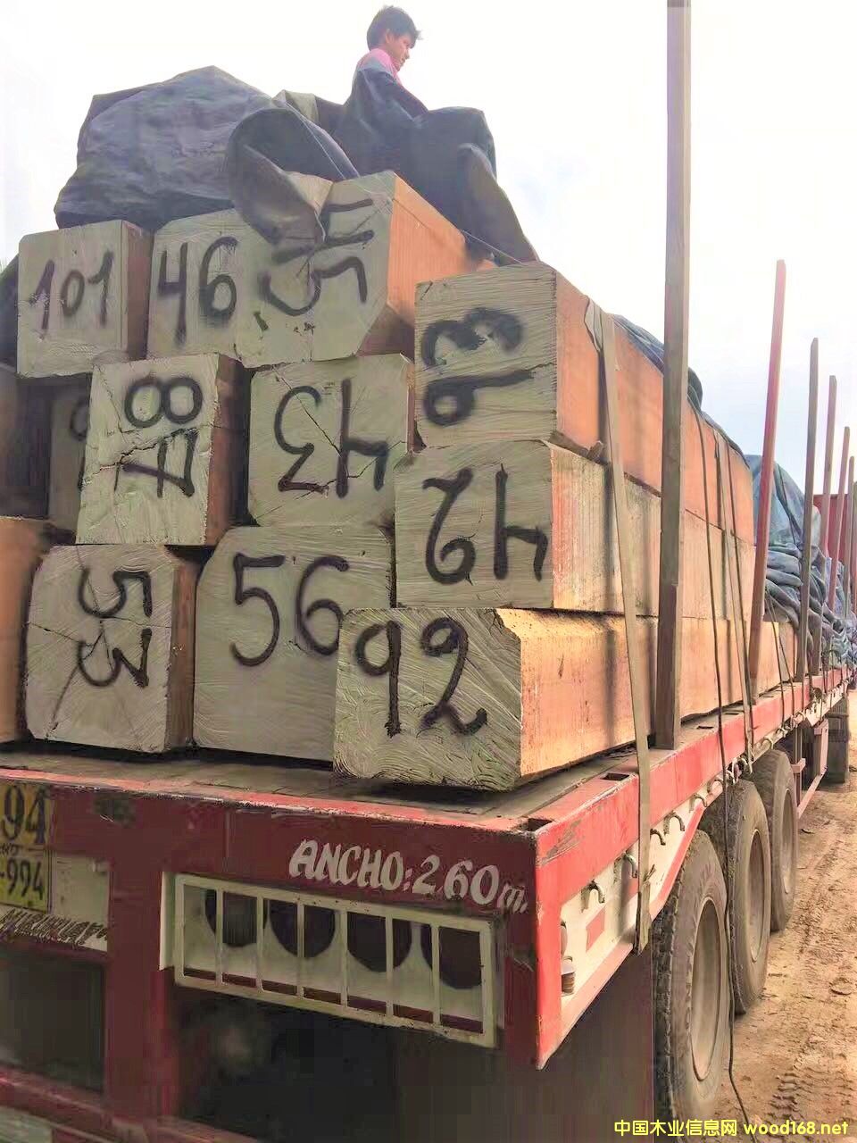 �����R�t̴���Ԕ����B