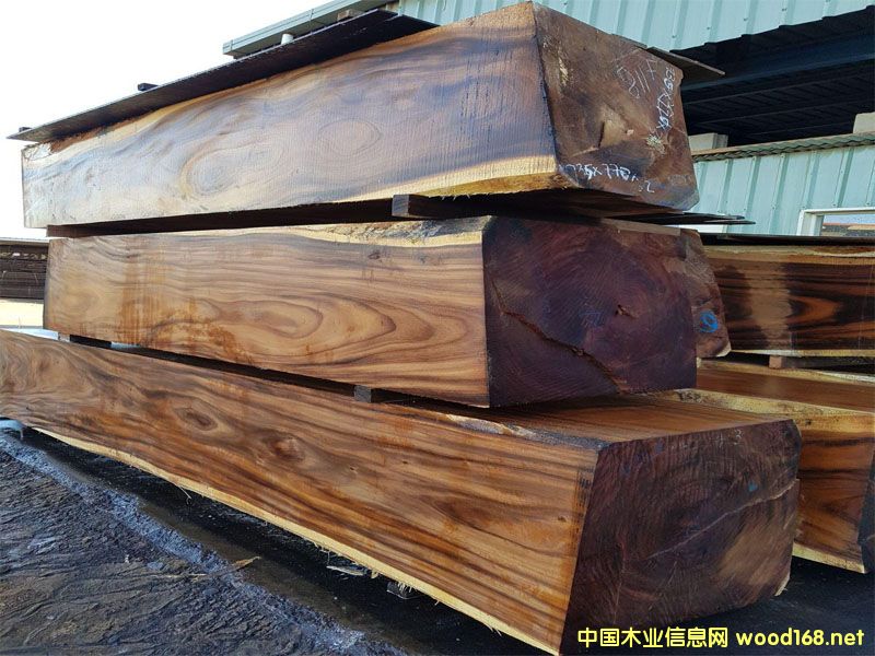 �S��ֱ�N(xi��o)�����M(j��n)���һ�оľ