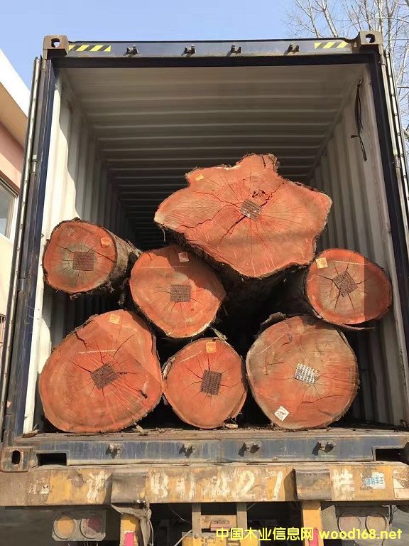 ������Ѫ̴��Ԕ����B