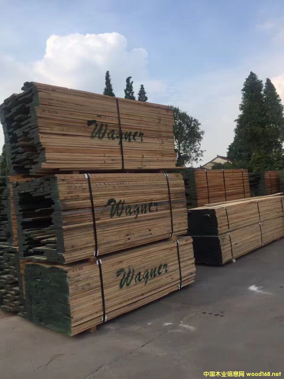 ����(gu��)�t��