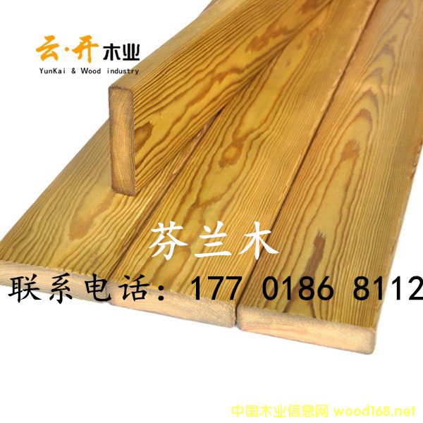 �c���鿴���mľ�Ŵ�DƬ