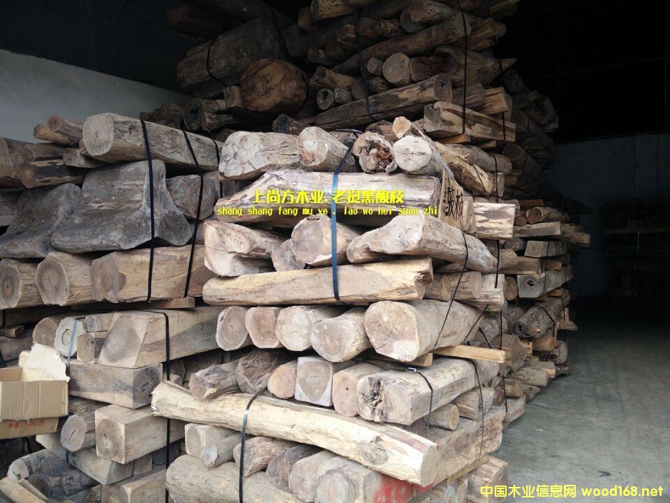 �ϓ����֦ľ��Ԕ����B