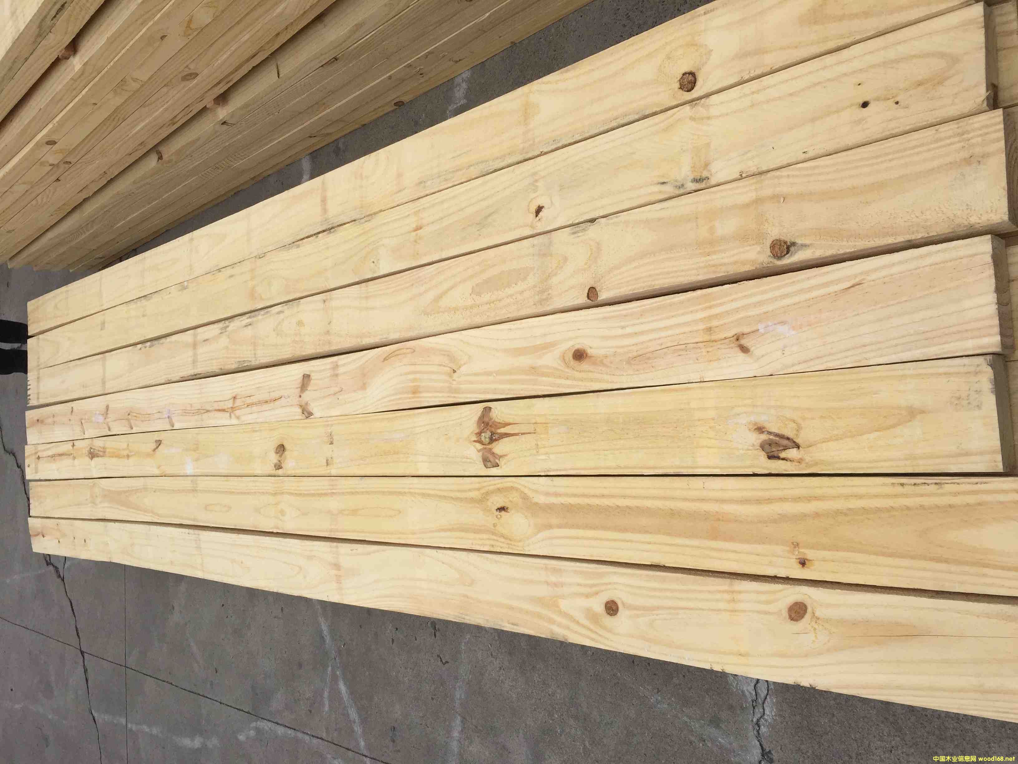 ���������M�ڰ�ĵ�Ԕ����B