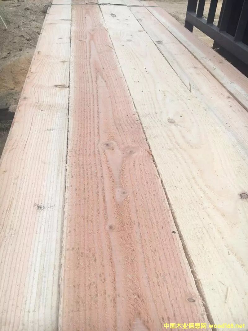 �����ɵ�Ԕ����B