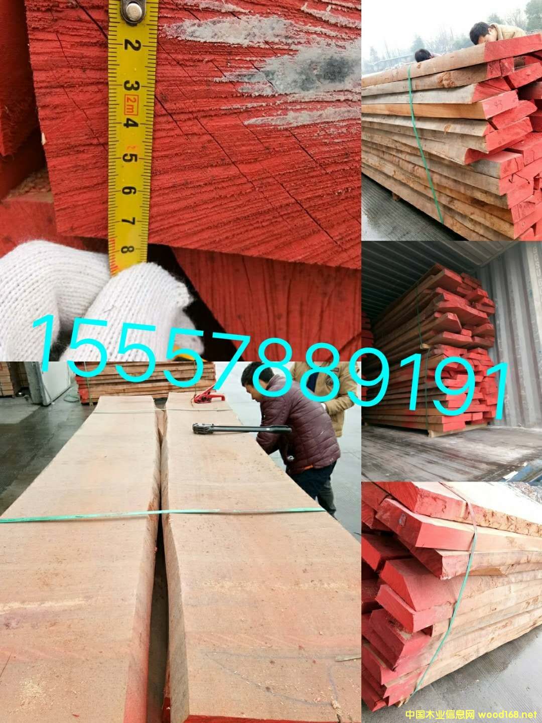 ��ľ��Ԕ����B