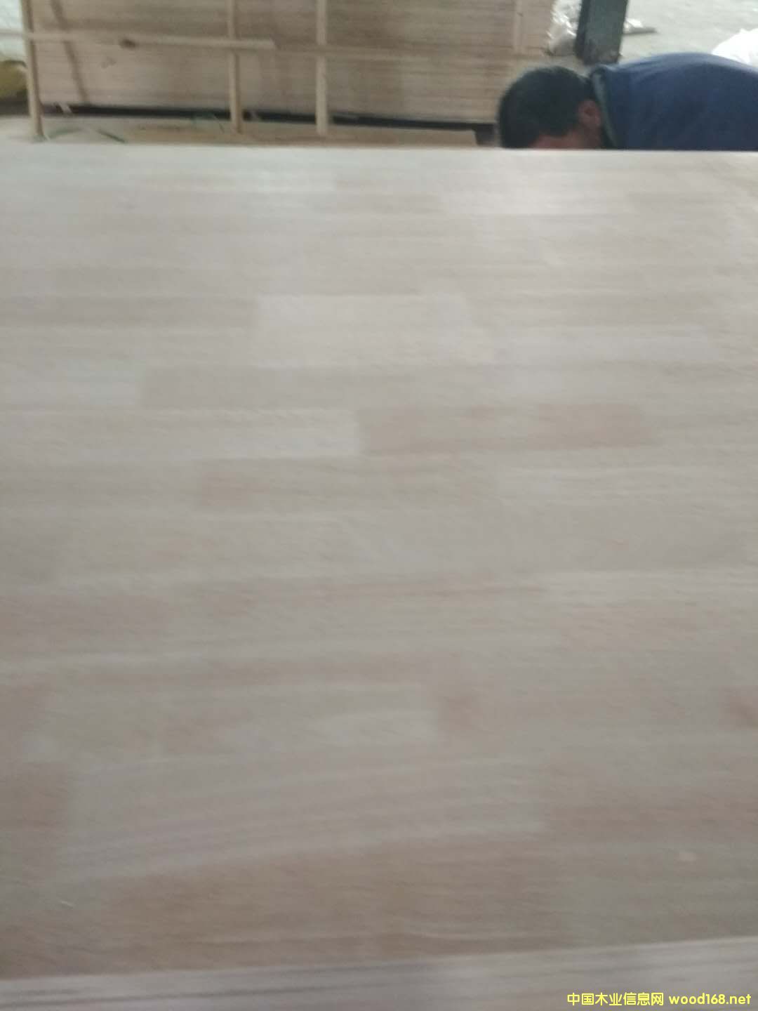 [��] �N��壬�Ҿ߰�