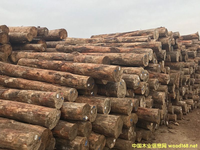 ������ԭľ�������Ϸ��ɣ�