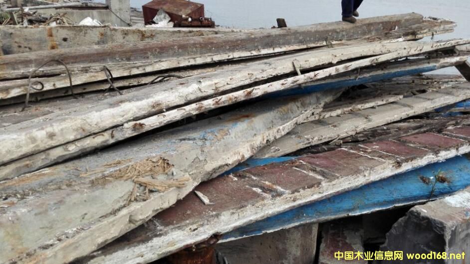 �㽭��ľ����