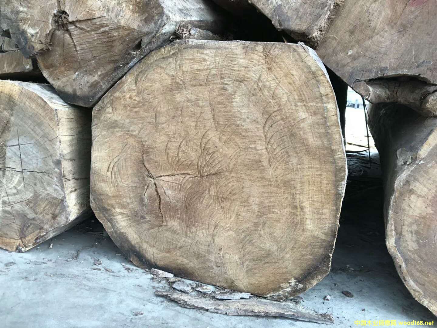 ���ȁ������̴