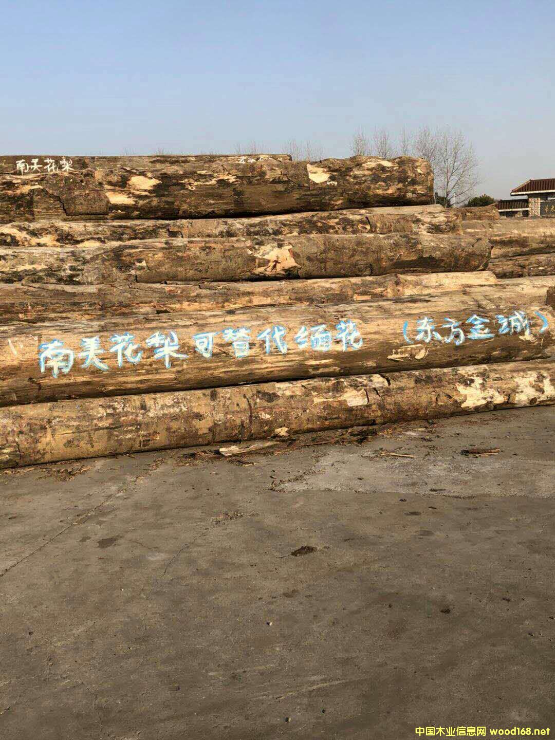 ��������ľ��Ԕ����B