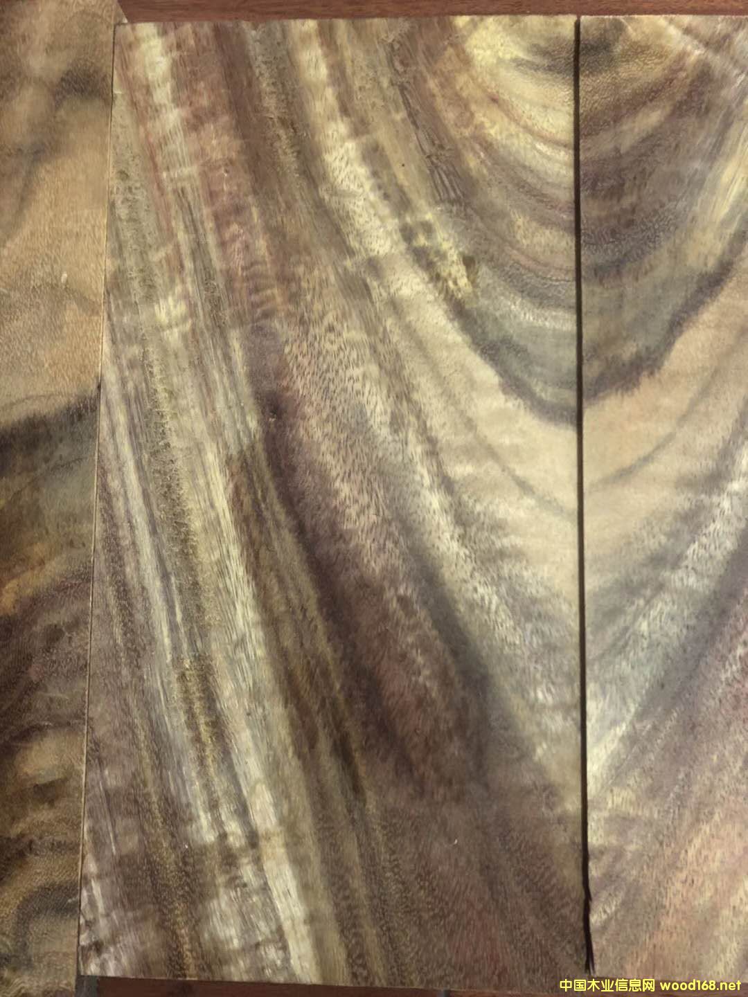 �������~�S�����Ԕ����B