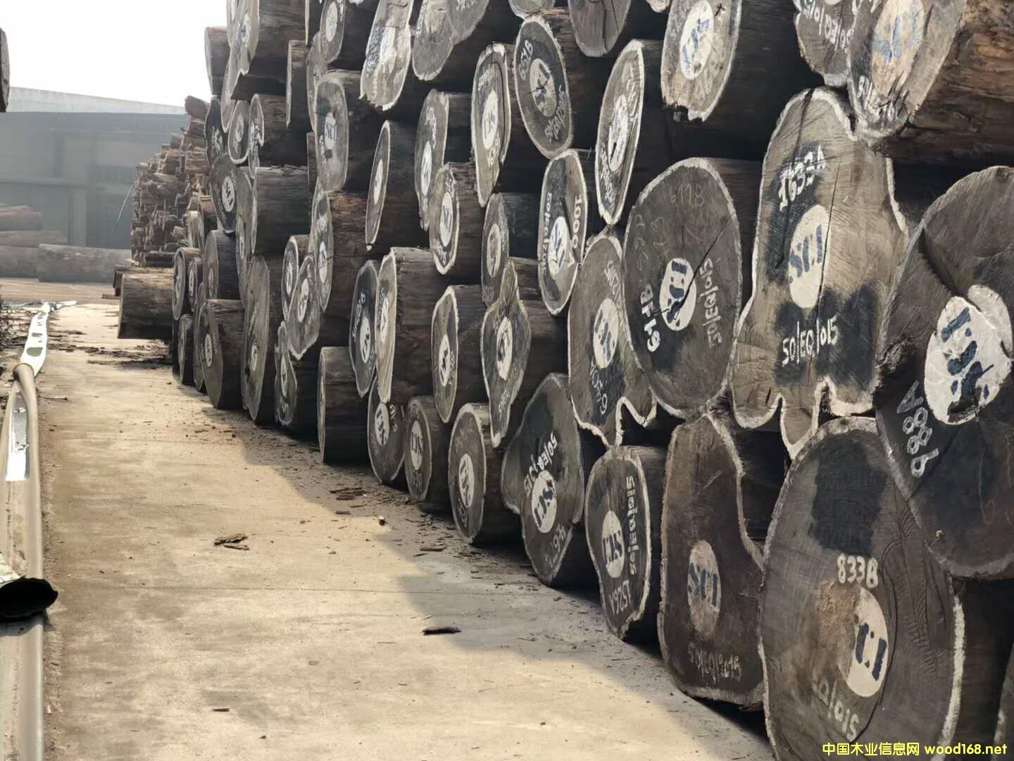 [��] ���ބ������u��ľԭľ��� �����¶�ľ