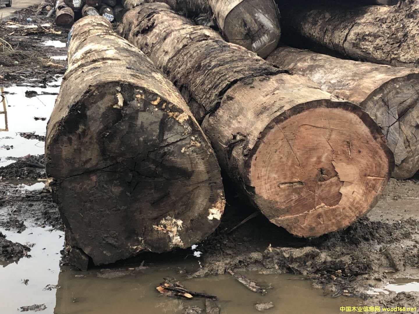 �������~�S�����Ԕ����B