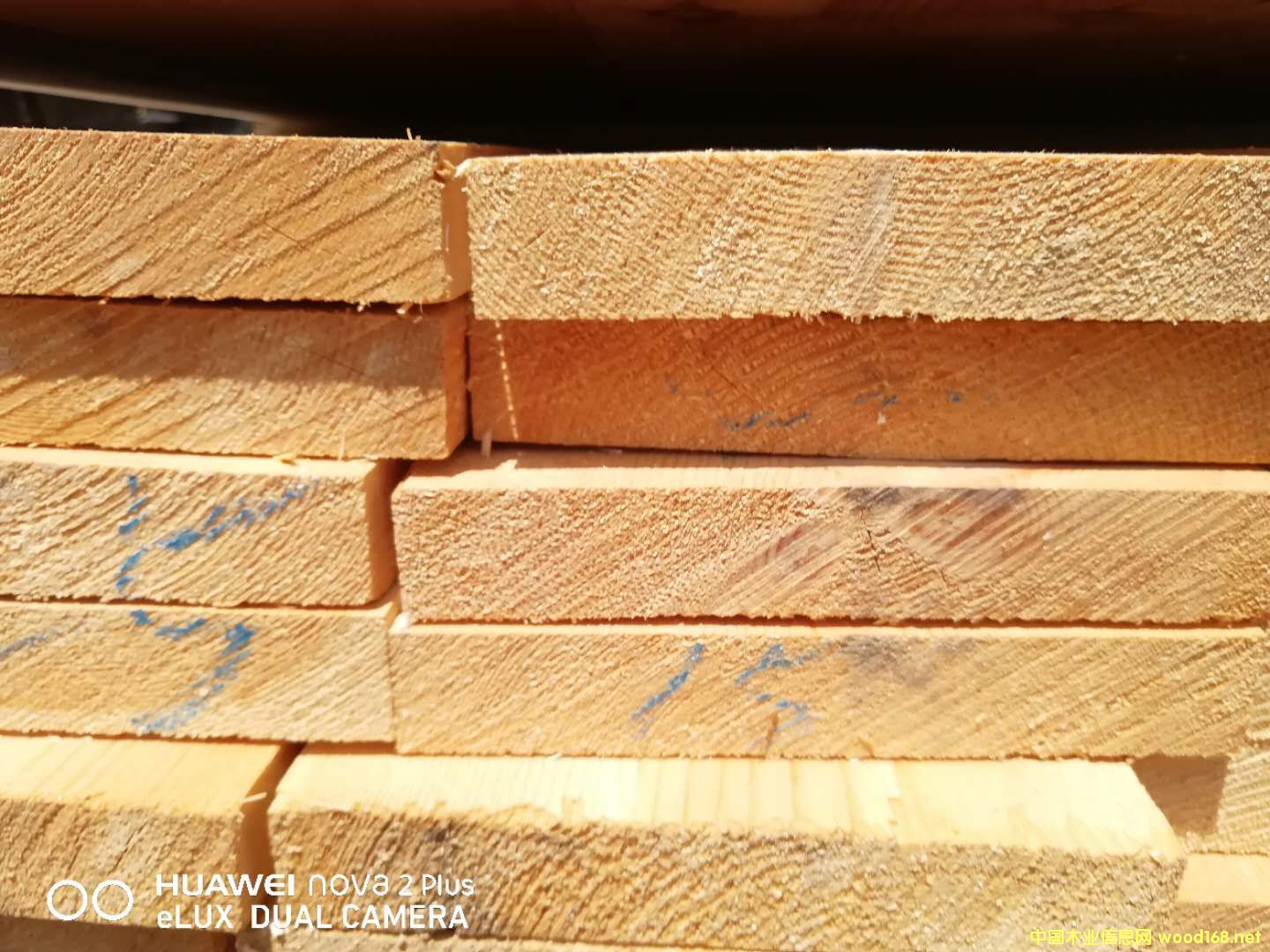   ��Ԕ����B