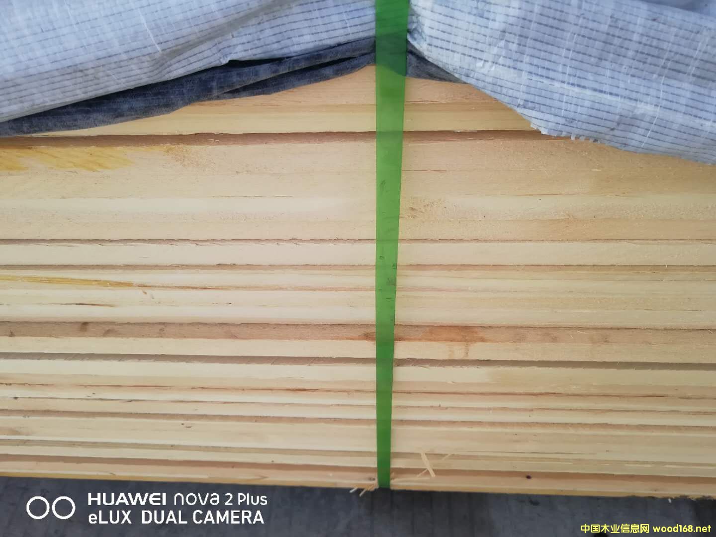   ��Ԕ����B