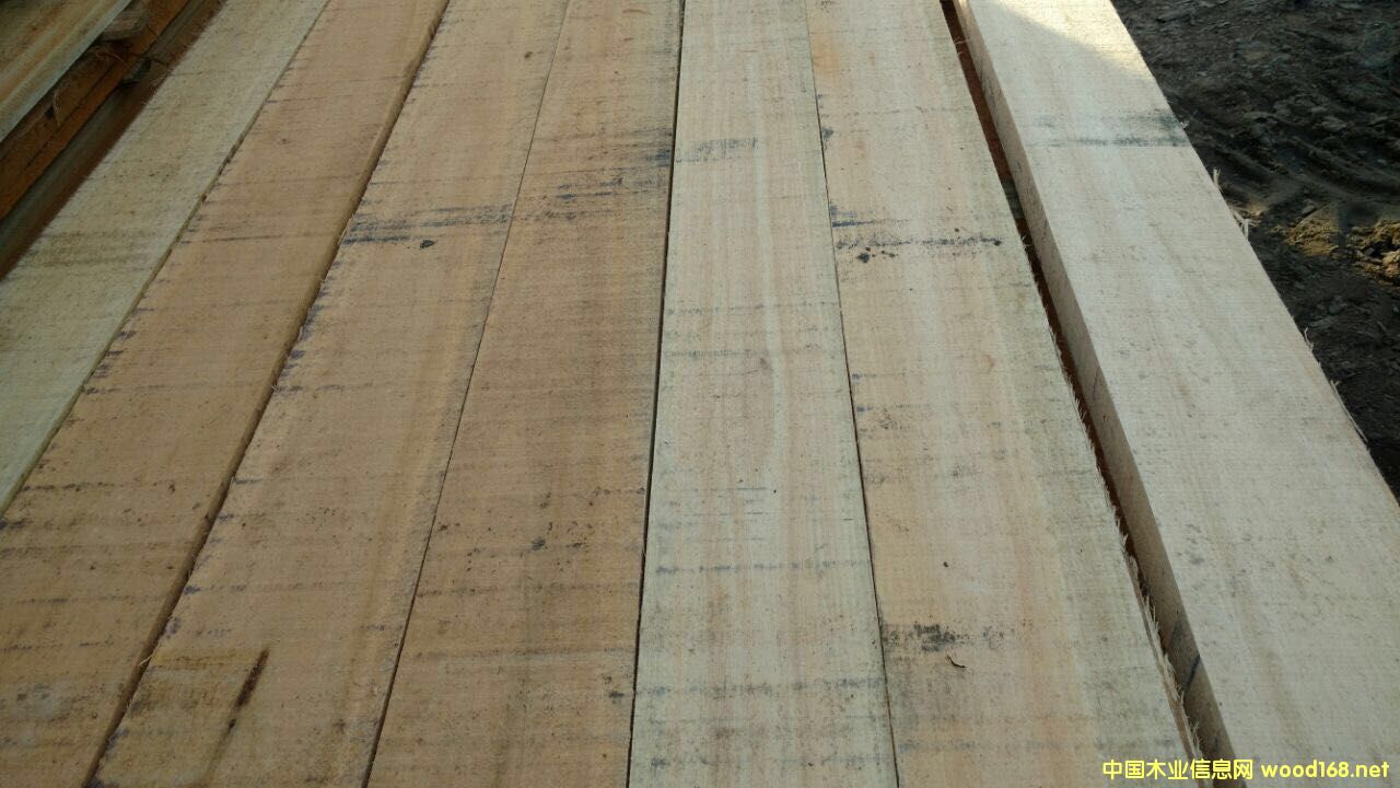 õ����ľ F.A.S 피� �������o��(ji��)�c��Ԕ��(x��)��B