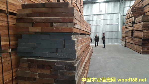 �鶼��˹�һ���ľswietenia macrophylla��Ԕ��(x��)��B