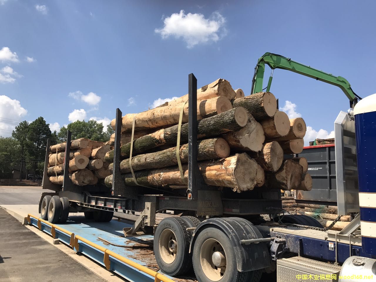 ����ɽ����ľ