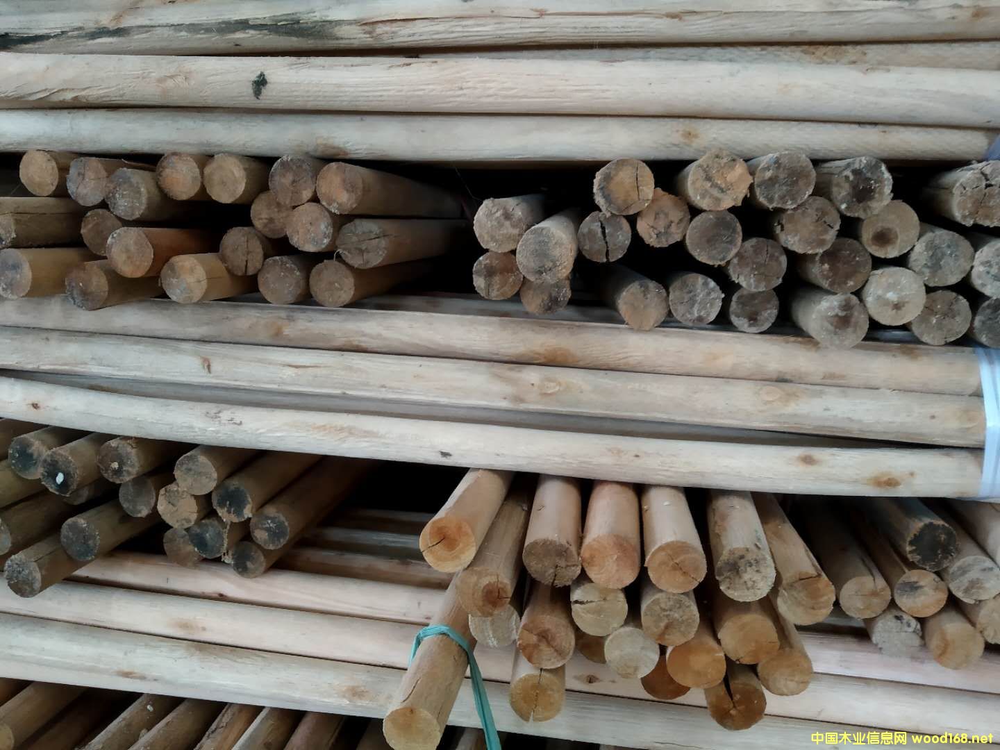 �������ľ����ľľ����ľ�������