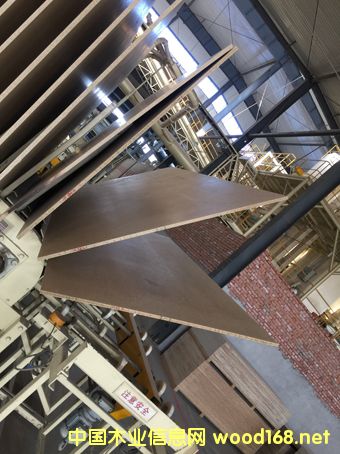 ���Ӱ匣�ßoȩ�z