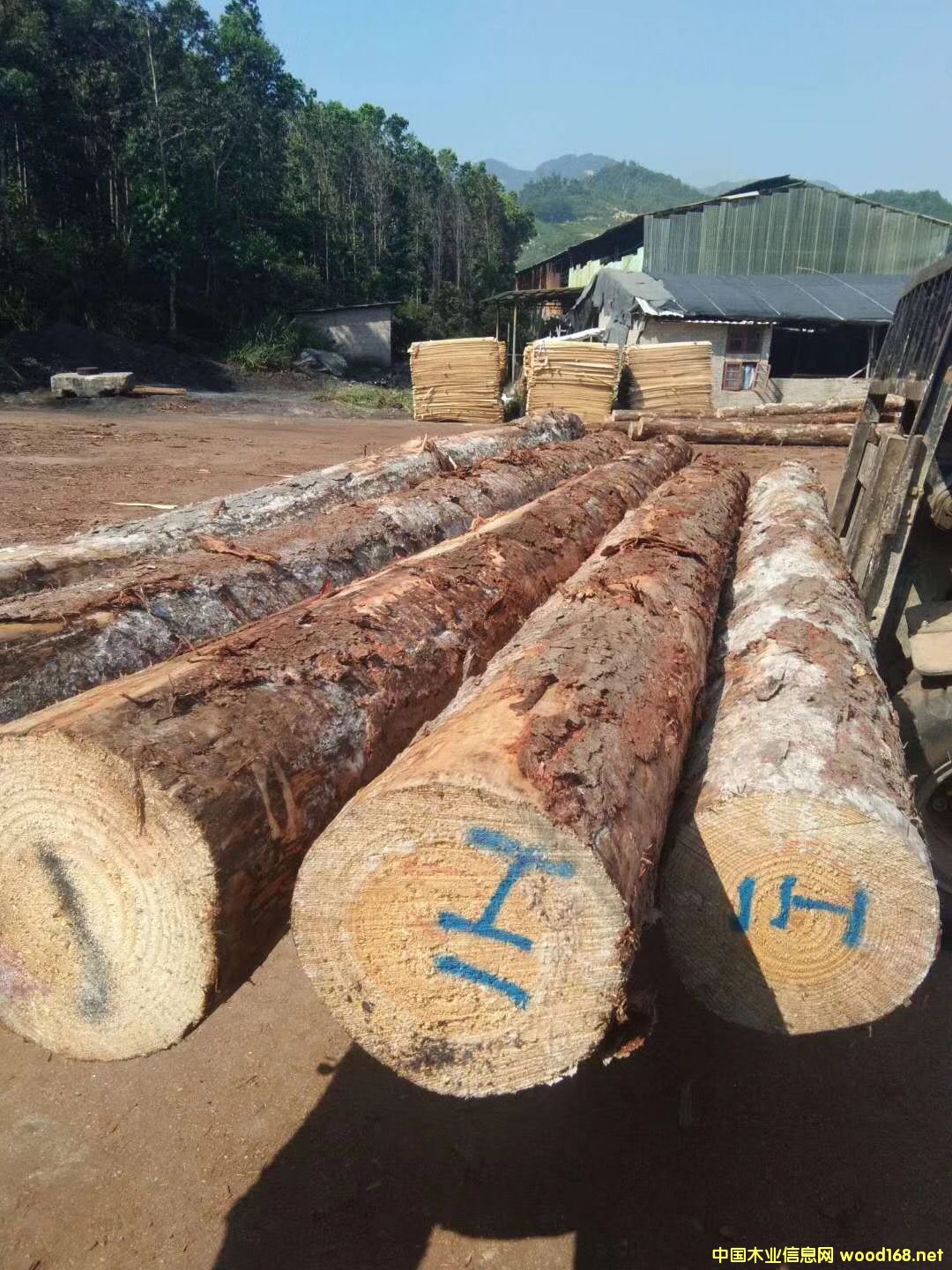 ݗ����ԭľ��Ԕ����B