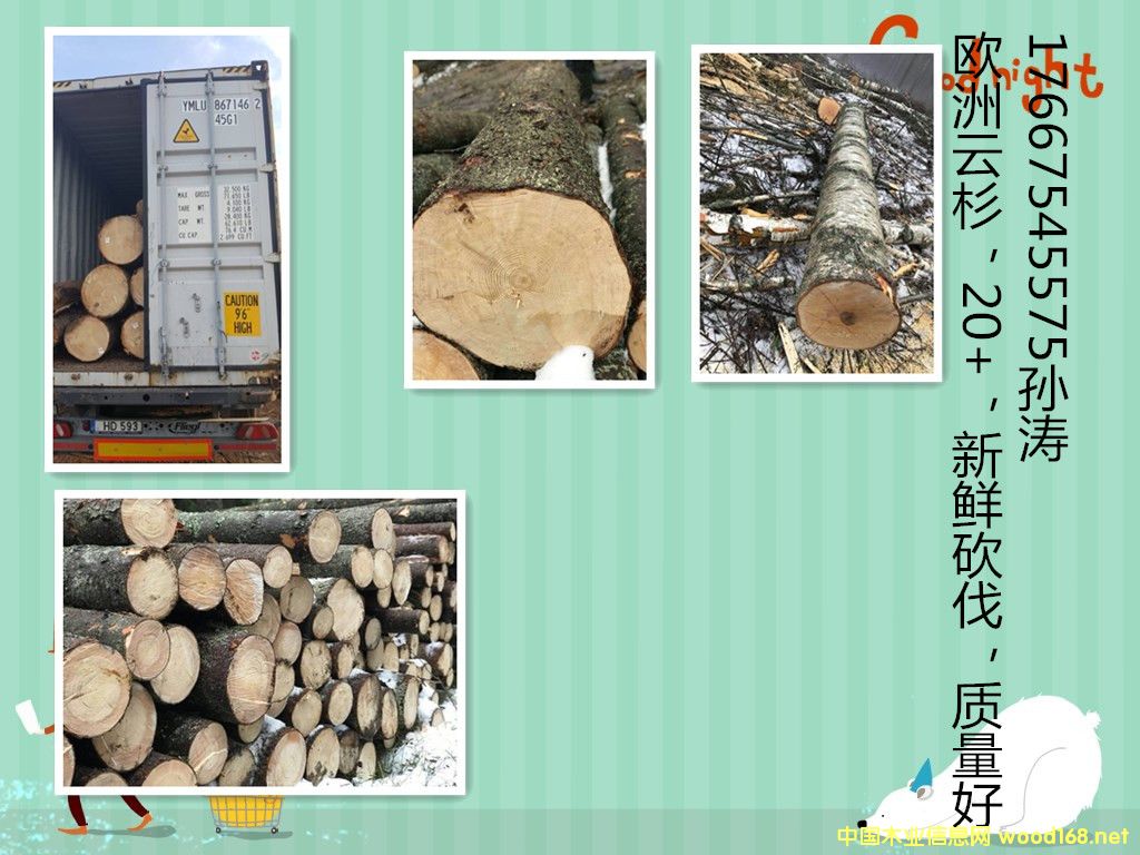 ��ɼԭľ��Ԕ����B