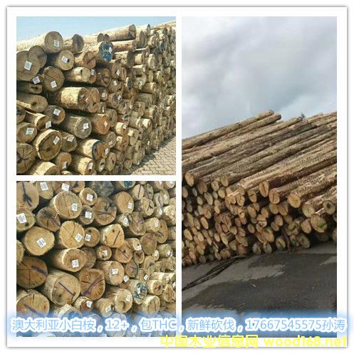 С����ԭľ��Ԕ����B