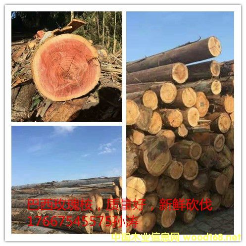 ����õ����ԭľ��Ԕ����B