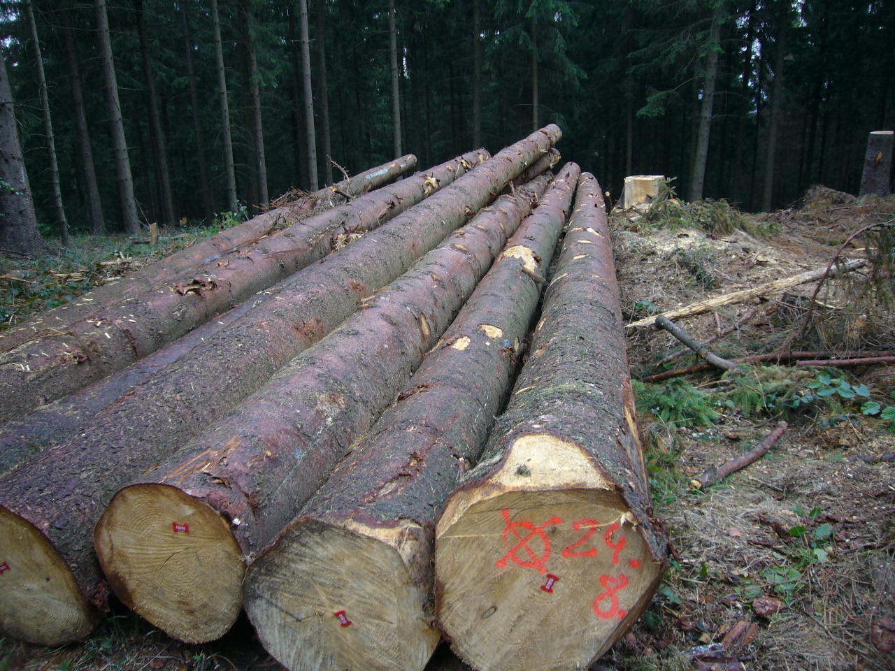 ��(gu��)��ɼ