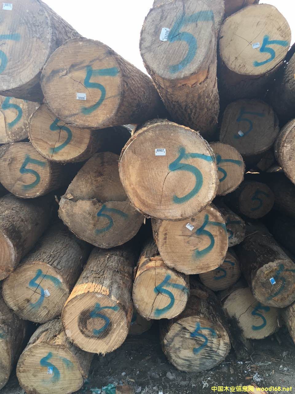 ��Ϟľ��Ԕ����B