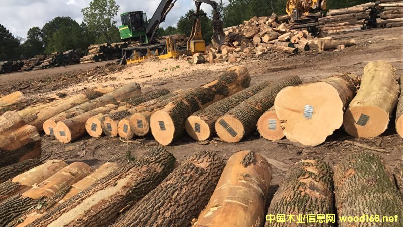 ��Ϟľ��Ԕ����B