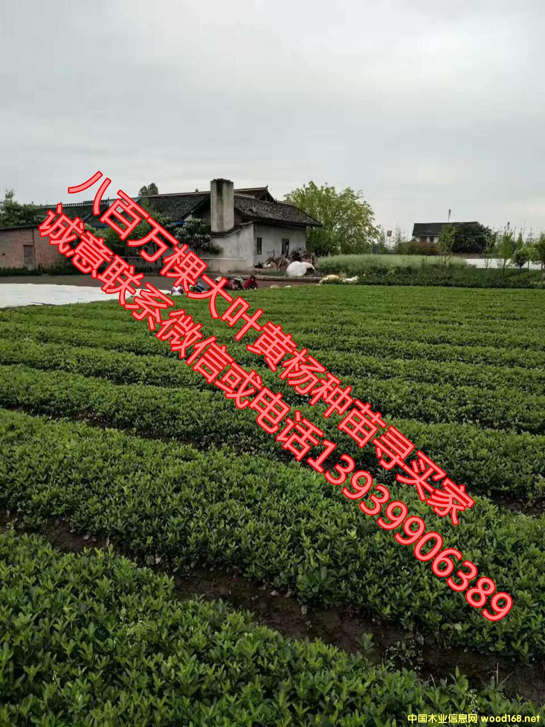 ���~�S��