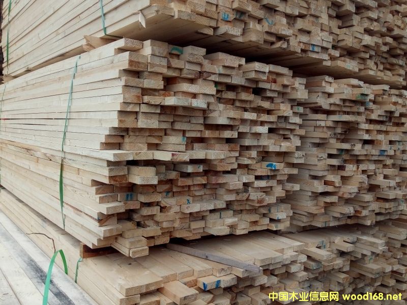 ���_˹�M�ڰ��ɷ�ľ