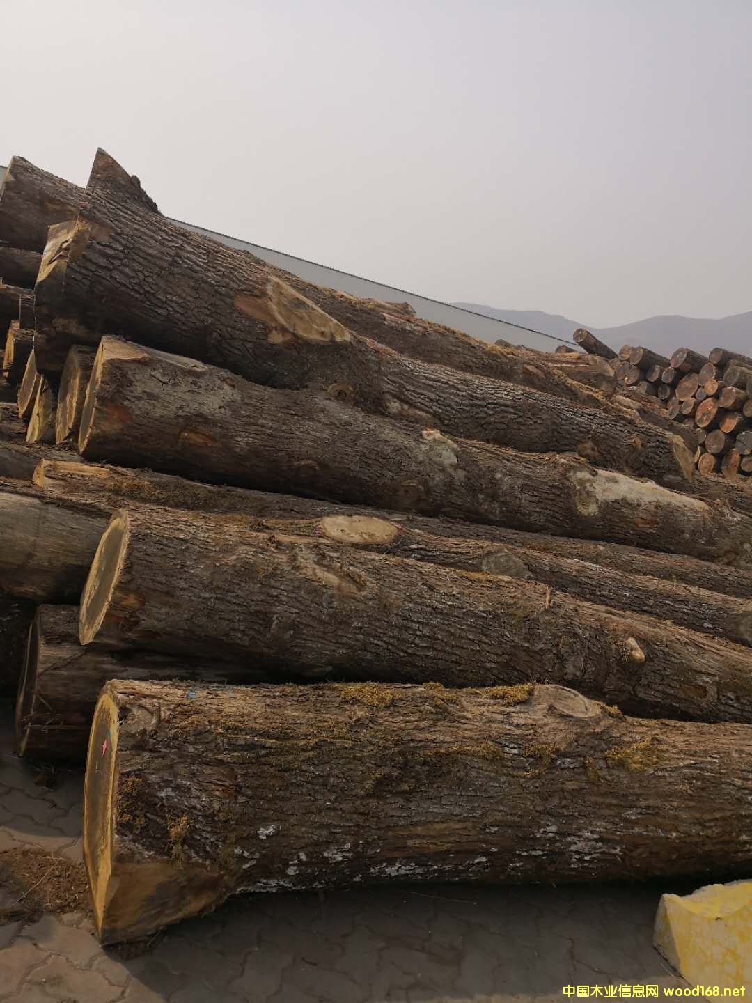 �W�ް����Ԕ����B