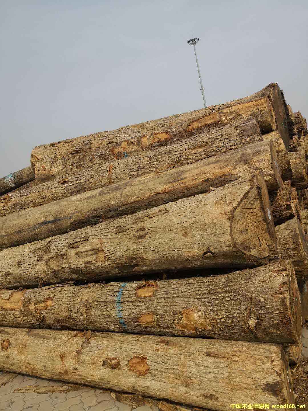 ���������Ԕ����B