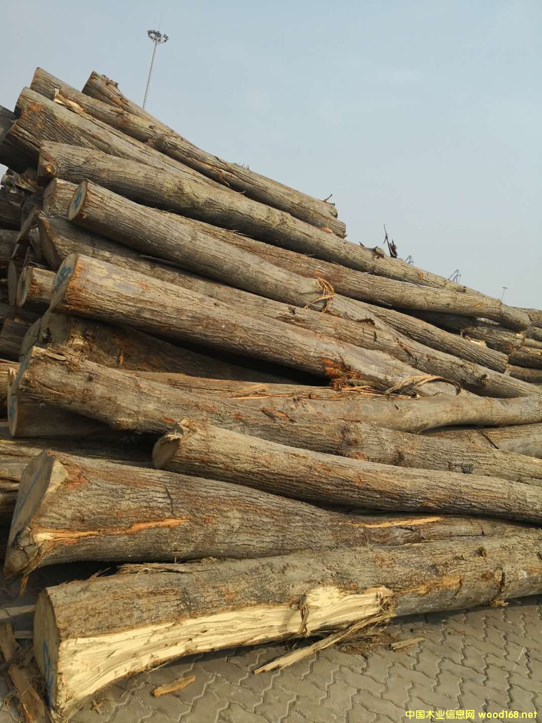 �W���ľ��Ԕ����B