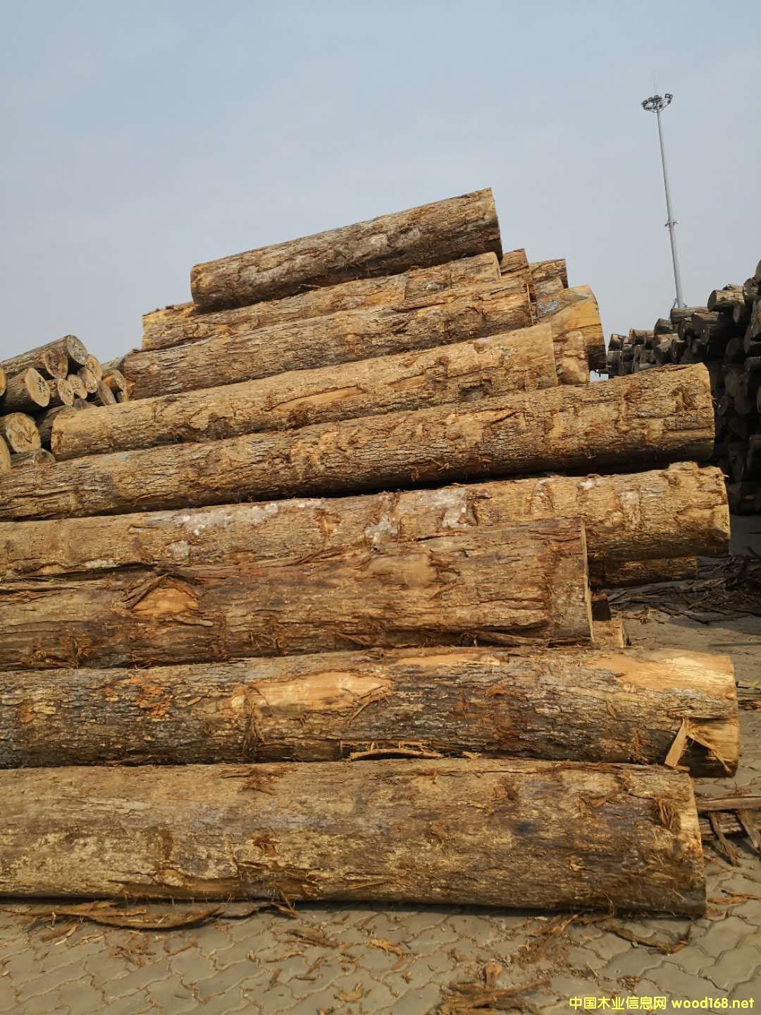 ���������Ԕ����B