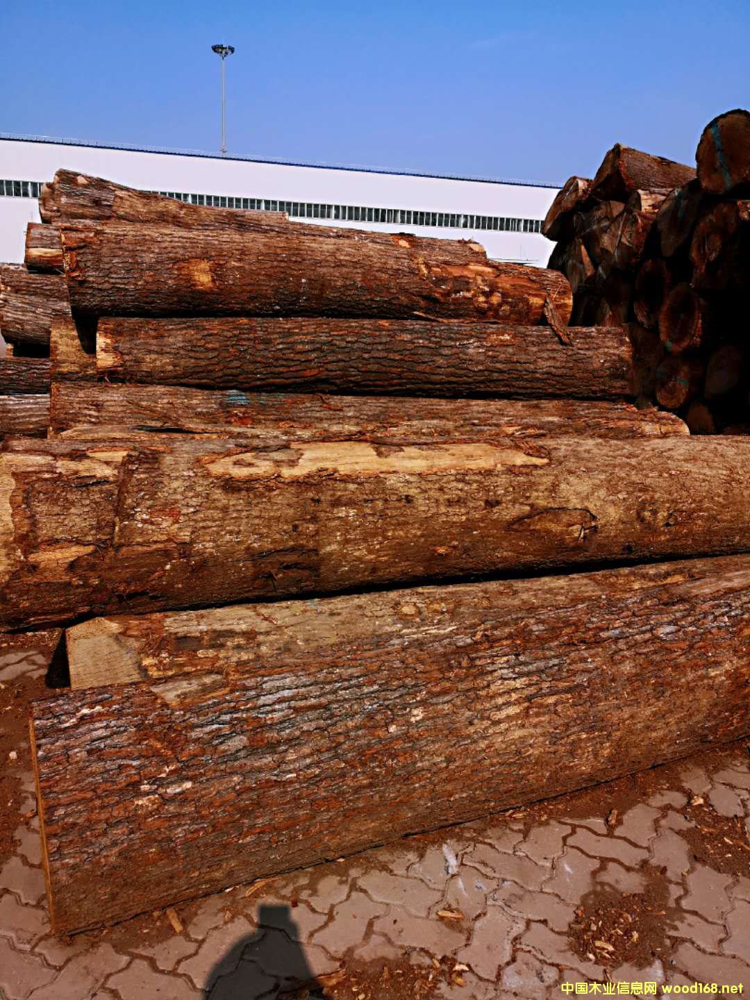 ����(gu��)�t��