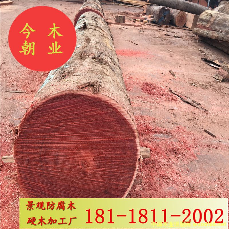 �R�����}��@�־��^����ľ���̼ӹ��đ���ذ�ľ�������ܛ�ͤ����