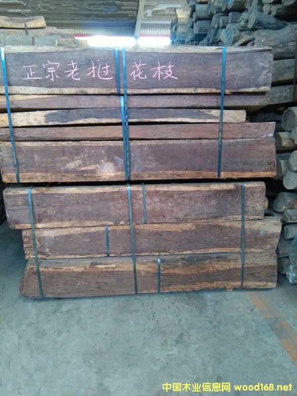 �����S̴ԭľ