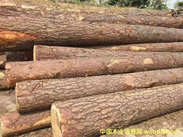 ���~��ԭľ