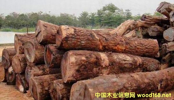 ���޻���ԭľ