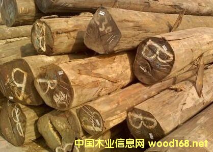 [��] �����M�ھ�����ľԭľ���l(f��)