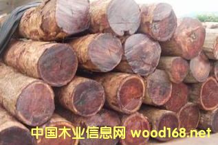 [��] �����M�ھ��黨��ľԭľ���l(f��)