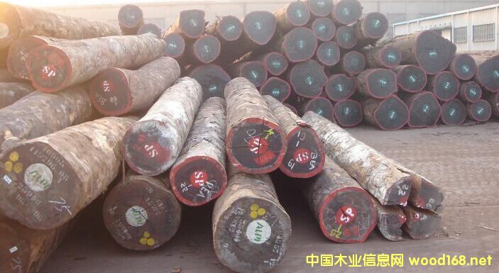 [��] �����M(j��n)�ڰ�������ͻ�ԭľ���l(f��)