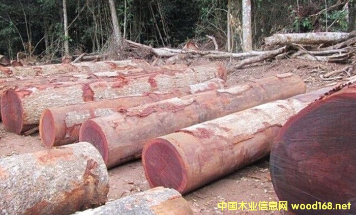 [��] �����M�ڷ���ɳ����ԭľ���l