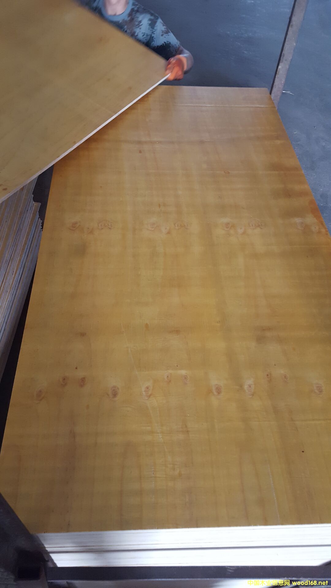 �z���Ԕ����B