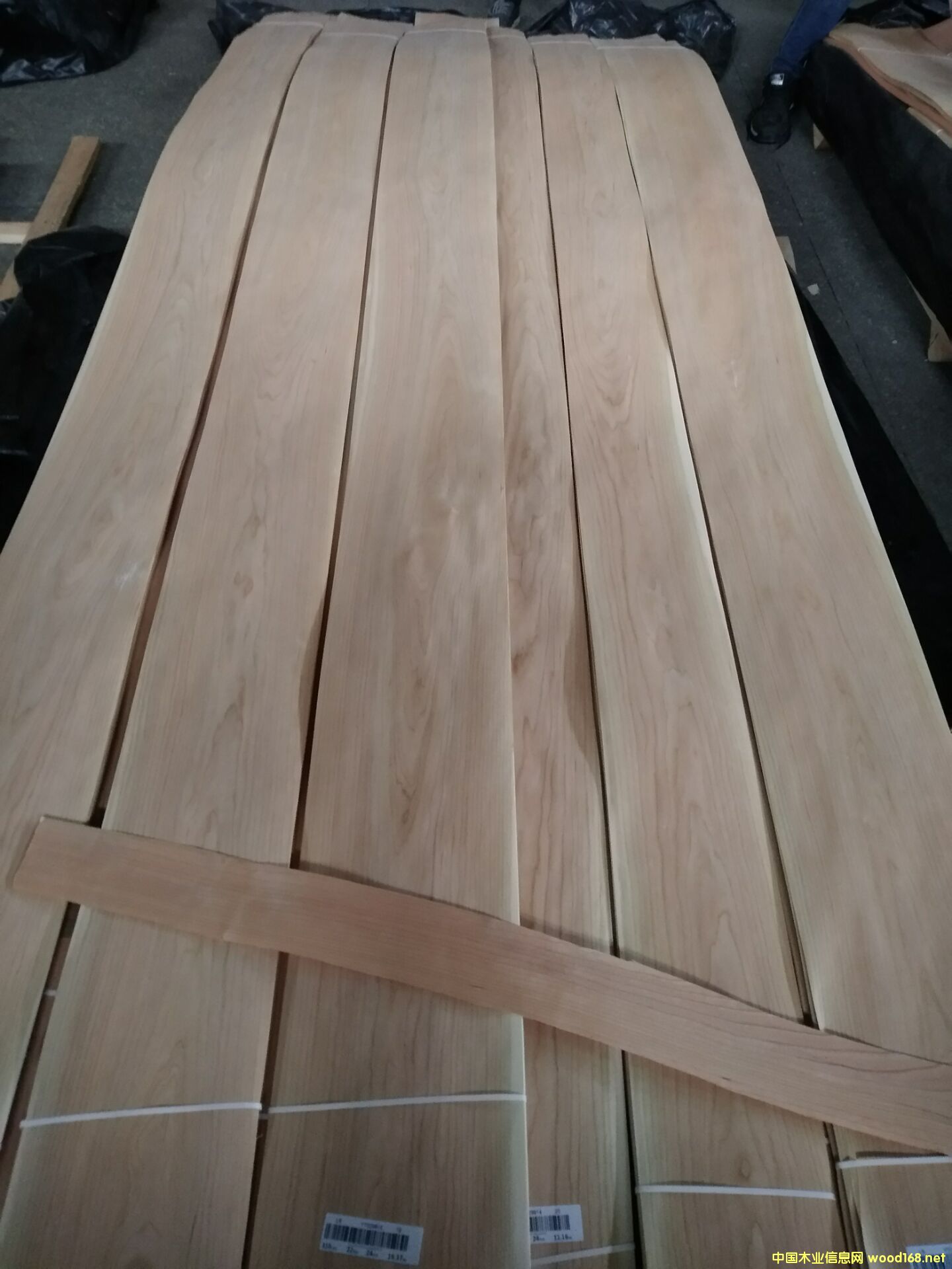 ����ɽ�y��Ԕ��(x��)��B